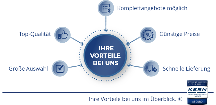 Grafik mit Vorteilen des Kern Onlineshops