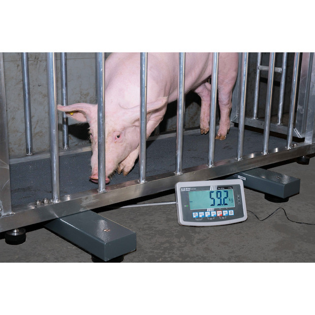 Wiegebalken KERN UFA 3T1